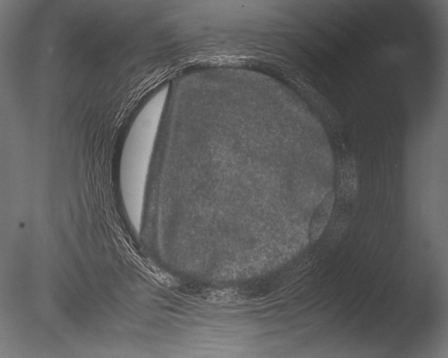 X0000085050309200703261145