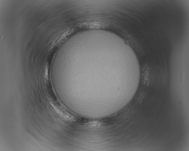 X0000085050310200703261145