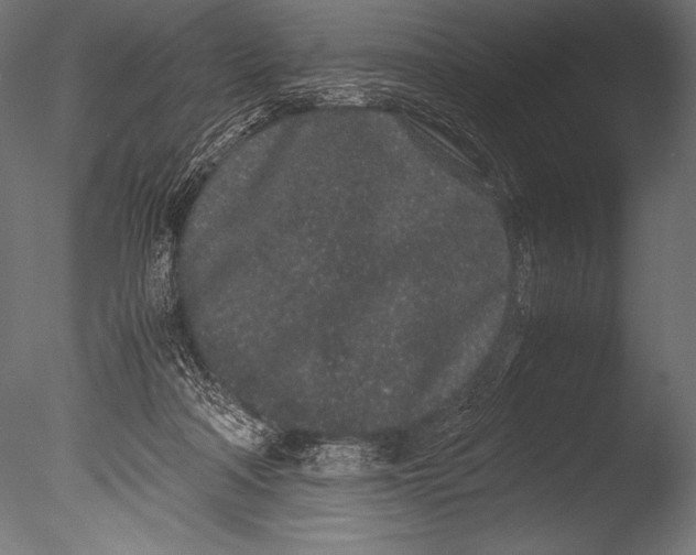X0000085050314200703261145