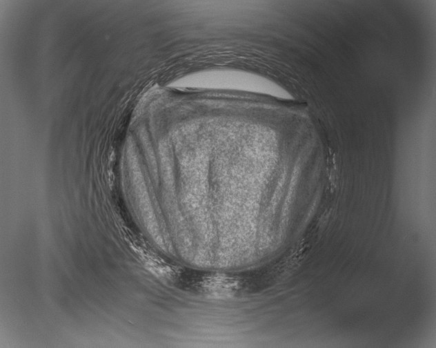 X0000085050319200703261145