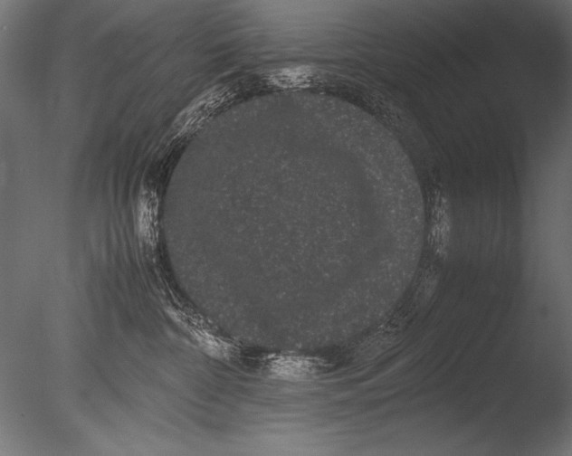 X0000085050332200703261144