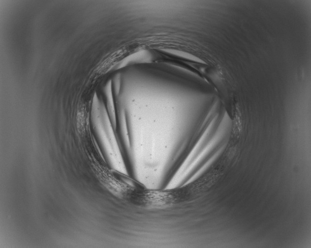 X0000085050333200703261144