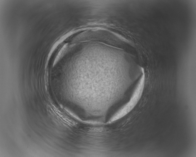 X0000085050342200703261144