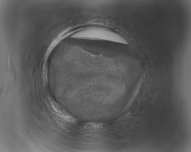 X0000085050343200703261144