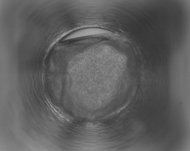 X0000085050346200703261144