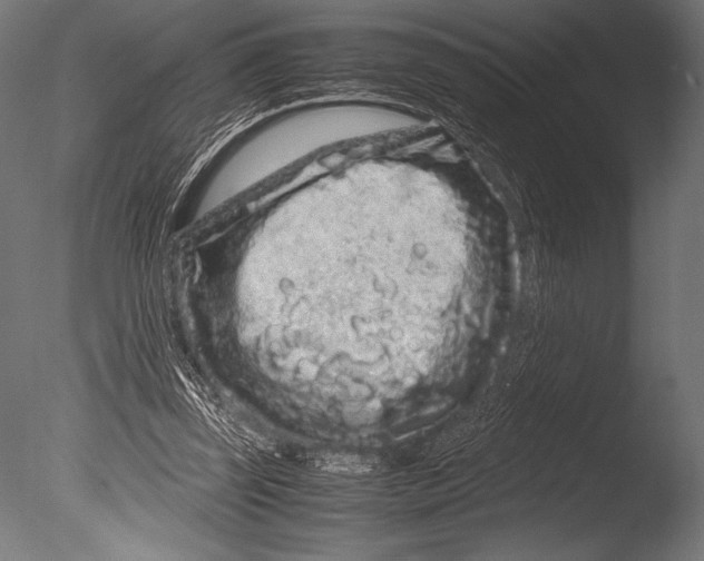 X0000085050347200703261144