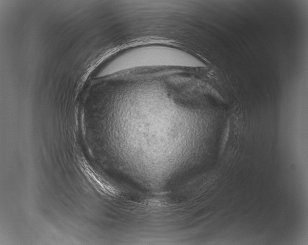 X0000085050350200703261144
