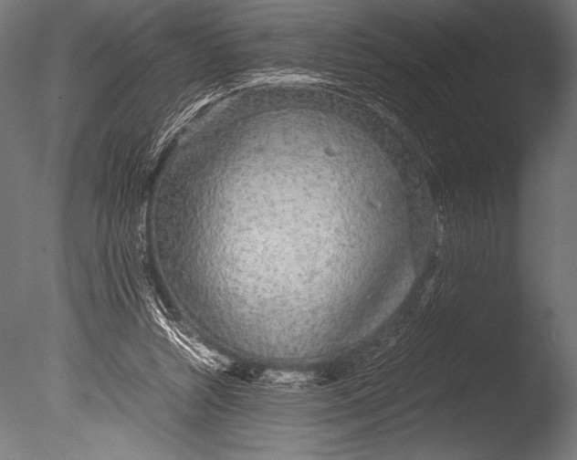 X0000085050352200703261144