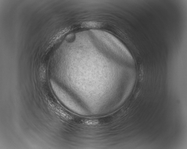 X0000085050355200703261144