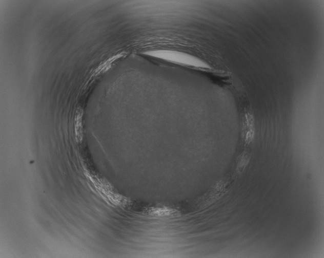 X0000085050360200703261144