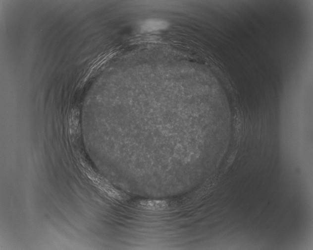 X0000085050361200703261144