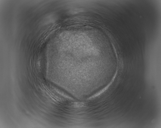 X0000085050363200703261144