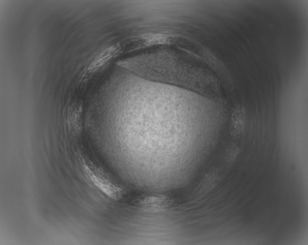 X0000085050364200703261144