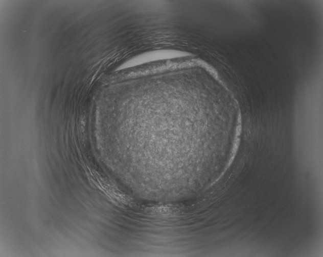 X0000085050365200703261144
