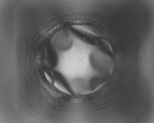 X0000085050368200703261144