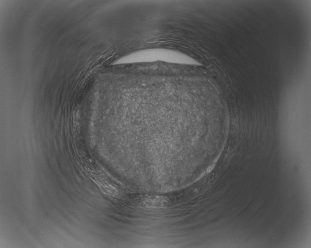 X0000085050369200703261144
