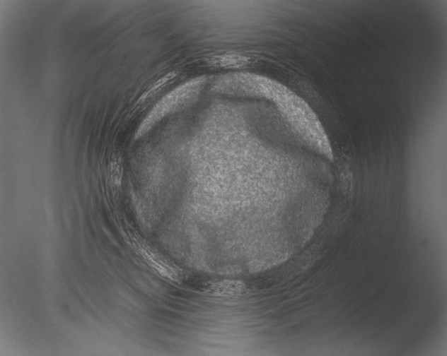 X0000085050374200703261144