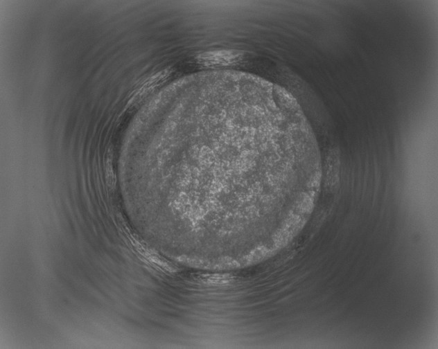 X0000085050377200703261144