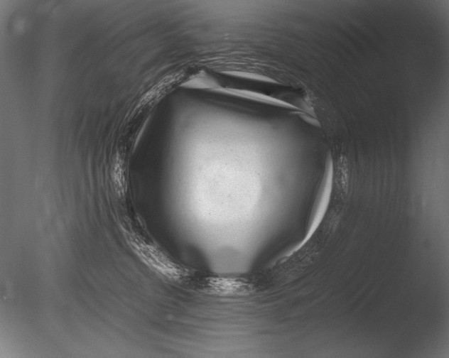 X0000085050380200703261144