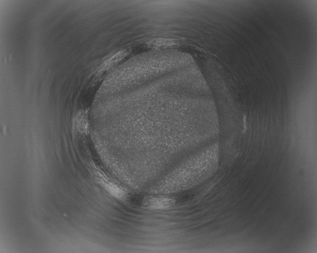 X0000085050383200703261144