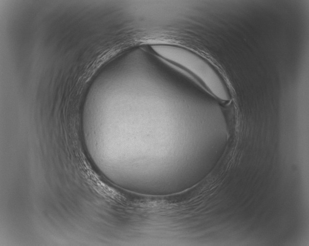 X0000085050385200703261143