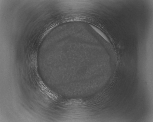 X0000085050386200703261143