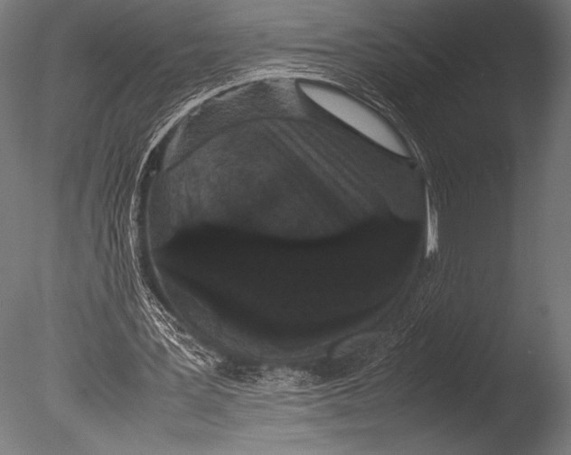 X0000085050387200703261143