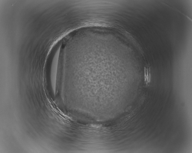 X0000085050388200703261143