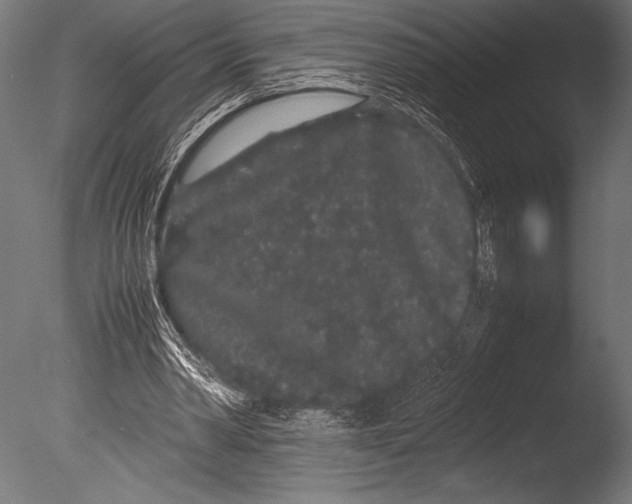 X0000085050390200703261143