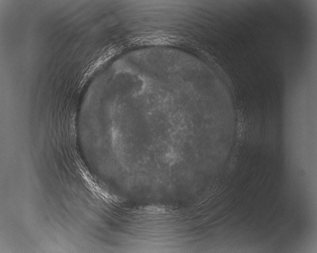 X0000085050394200703261143