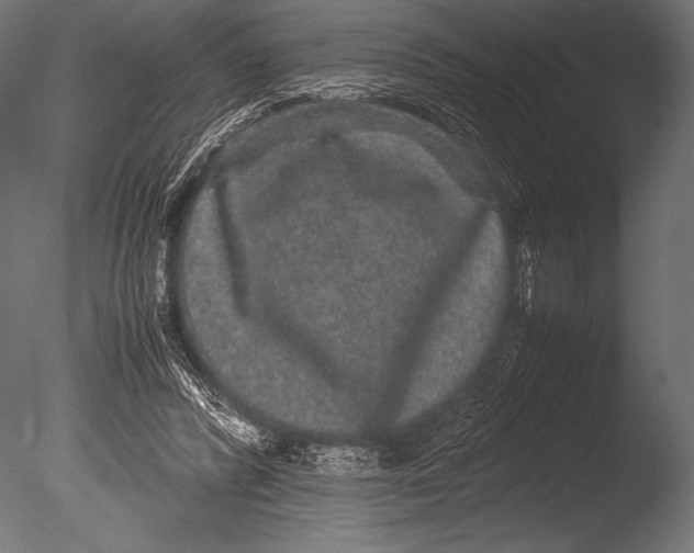X0000085050400200703261143