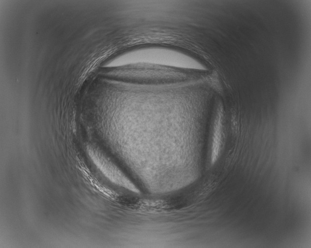 X0000085050403200703261143
