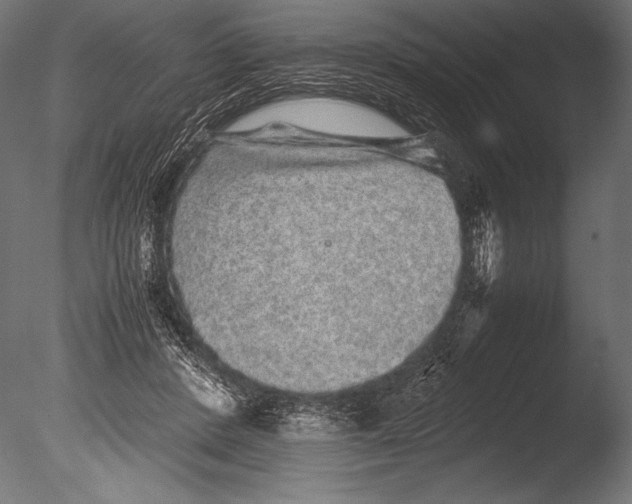 X0000085050408200703261143