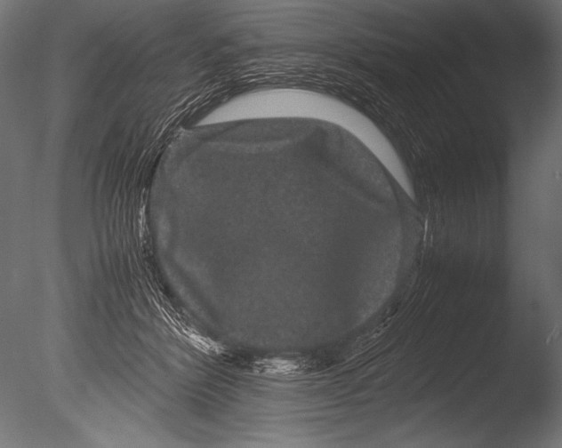 X0000085050412200703261143