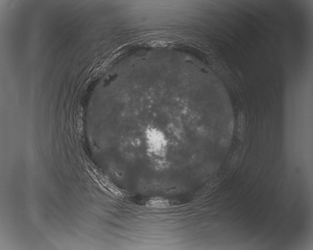 X0000085050413200703261143