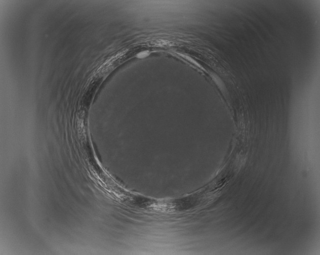 X0000085050415200703261143