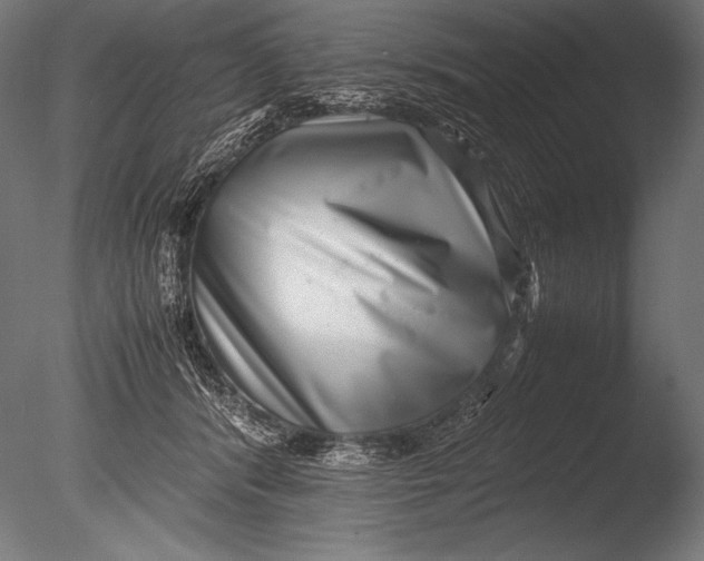 X0000085050416200703261143