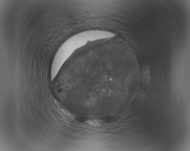 X0000085050417200703261143