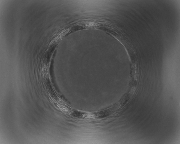 X0000085050419200703261143