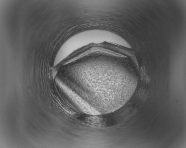 X0000085050421200703261143
