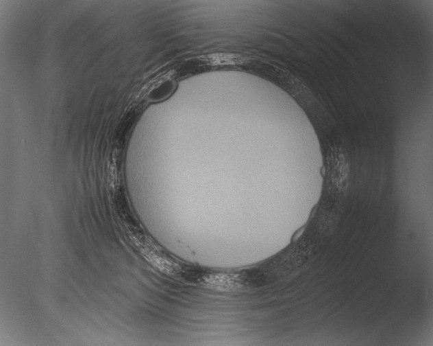 X0000085050422200703261143