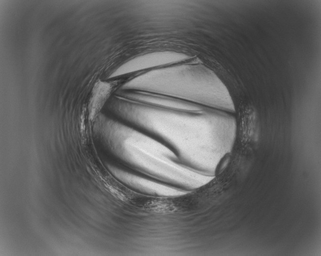 X0000085050424200703261143