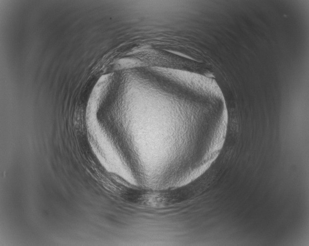 X0000085050425200703261143