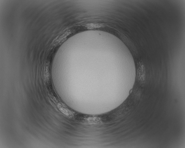 X0000085050426200703261143
