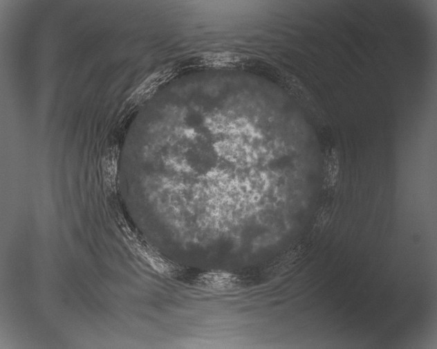 X0000085050427200703261143