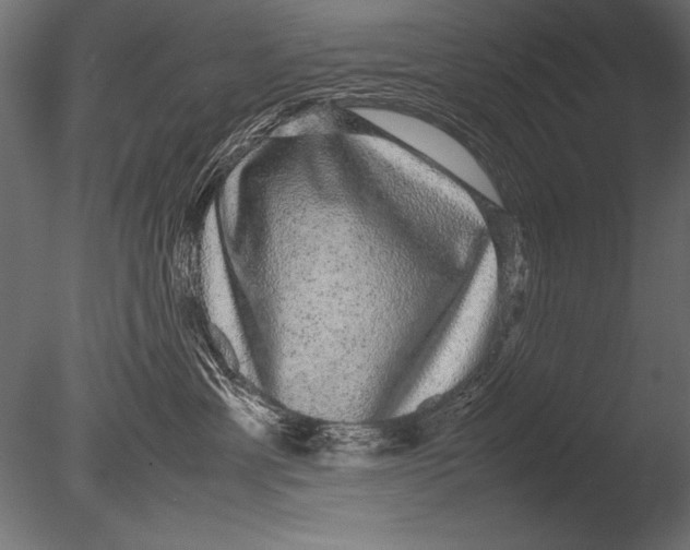 X0000085050429200703261143