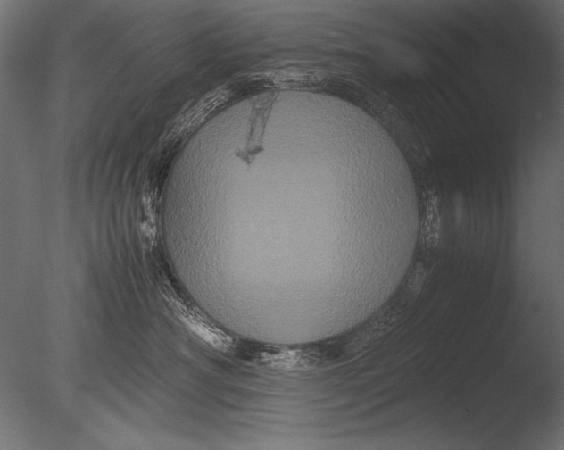 X0000085050430200703261143