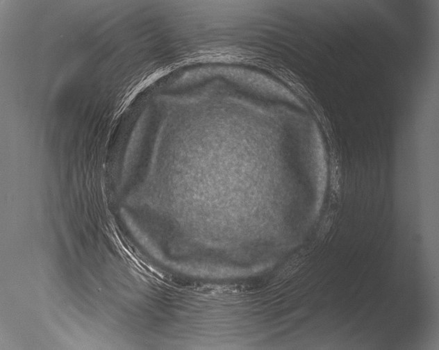 X0000085050434200703261142