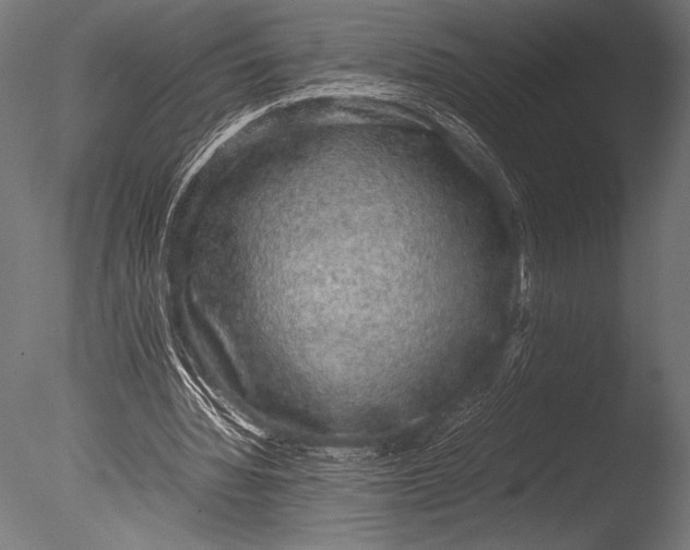 X0000085050436200703261142
