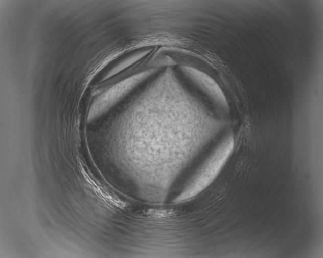 X0000085050440200703261142